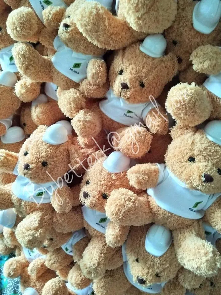ตุ๊กตาหมีสวมเสื้อและหมวกโลโก้พฤกษา