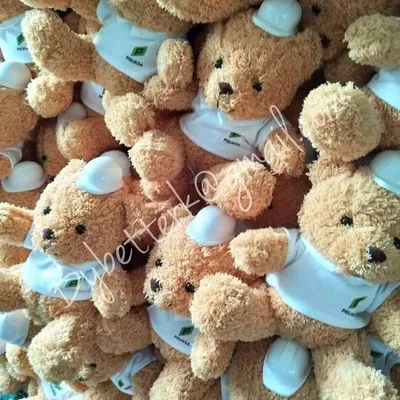 ตุ๊กตาหมีสวมเสื้อและหมวกโลโก้พฤกษา